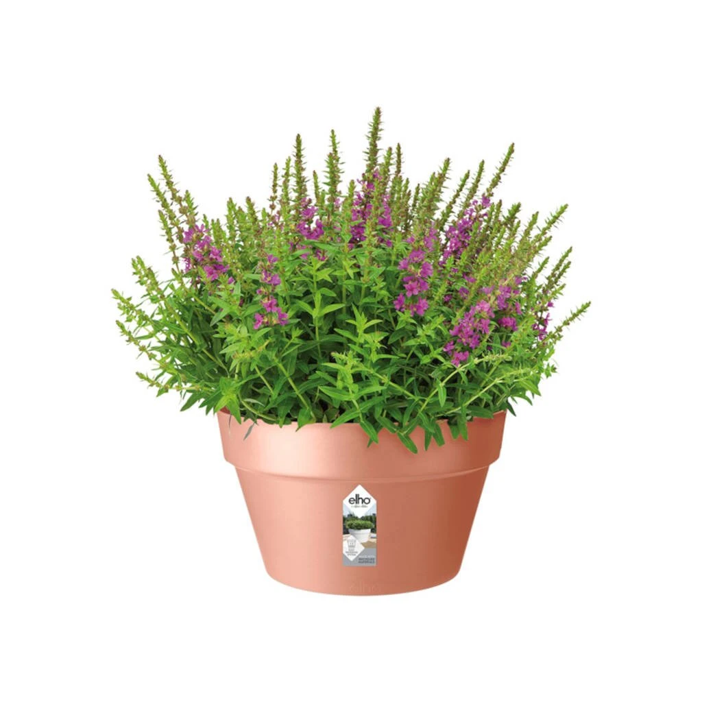 Elho Loft Urban Bowl 35 Delicate Pink - Afbeelding 2